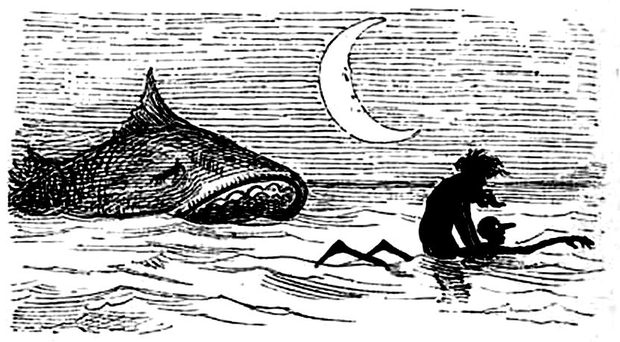 The Terrible Shark — a plate from the book